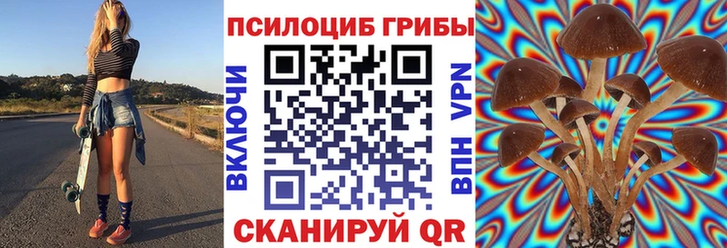 Псилоцибиновые грибы Magic Shrooms Курчатов
