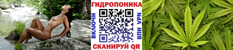 Купить где  Курчатов  Марихуана сатива 